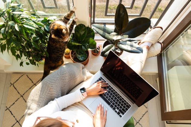 Frau sitzt auf einem Stuhl, legt die Füße auf die Fensterbank, arbeitet zu Hause am Laptop, Katze in der Nähe will Aufmerksamkeit Woman freelancer sitting on armchair and putting your feet on the windowsill, works on laptop at home, cat nearby wants attention and to be stroked. Business from home. (License=RF) ,model released, Symbolfoto Copyright: xZoonar.com DmitriixMarchenkox xEnvatox 24684752 ,model released, Symbolfoto ,property released