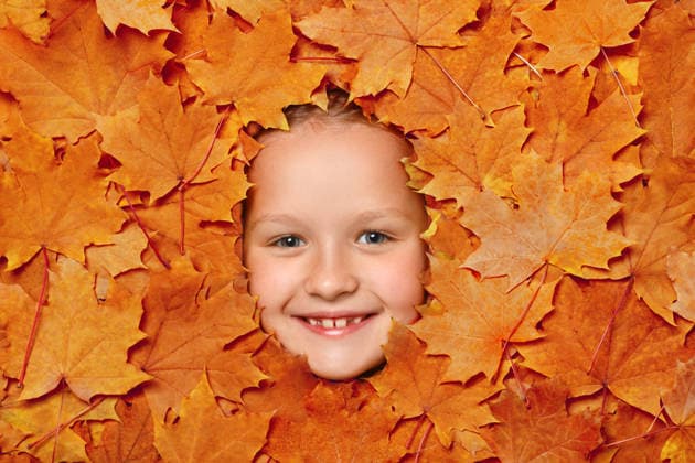 Süßes, fröhliches kleines Mädchen in Herbstlaub. Ansicht des Kindes von oben. Cute happy little girl face in autumn leaves. Top view of the child. (License=RF) ,model released, Symbolfoto Copyright: xZoonar.com OlgaxNikiforovax 24692402 ,model released, Symbolfoto ,property released