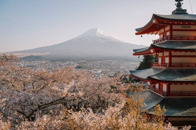 Red pagoda with Mount Fuji and cherry blossoms in spring Japan Fujiyoshida, Yamanashi, Japan CR_NMDM260219-1970517-01