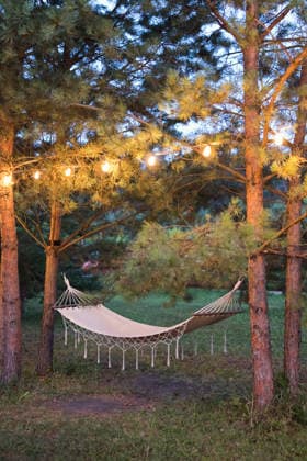 Cozy hammock under string lights in forested camp setting at evening, ONAF01145