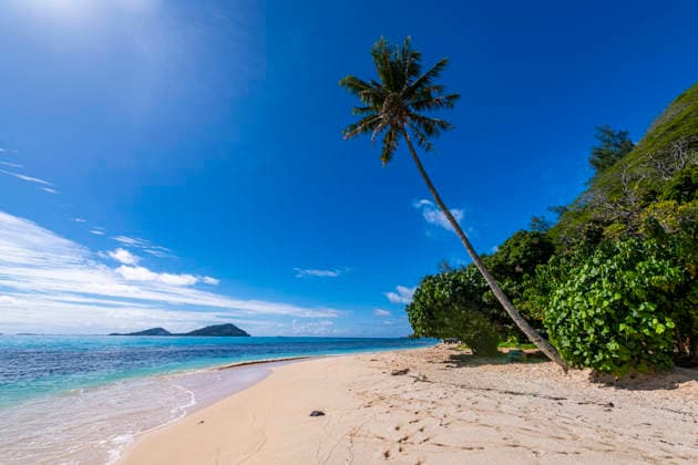 Tropical white sand beach with palm tree in Rikitea, Mangareva, French Polynesia, RUNF05100