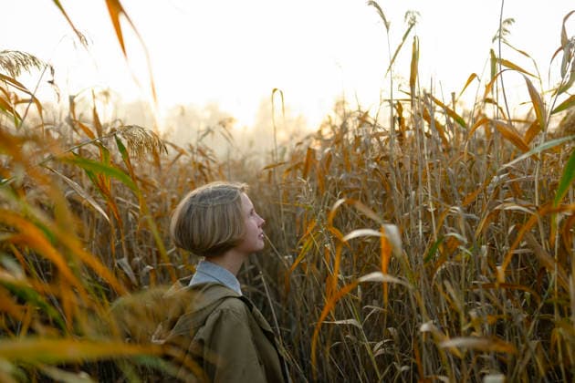 Woman with short blonde hair in beige jacket among reeds on a foggy morning model released, Symbolfoto, VCF01307