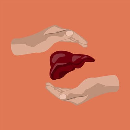 Flat Icon on Theme World Hepatitis Day Liver Flat icon on theme world hepatitis day . liver in hands Copyright: xvectorstockx