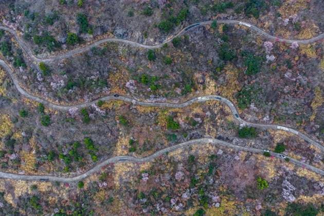 (260225) -- JIANDE, Feb. 25, 2026 -- An aerial drone photo taken on Feb. 25, 2026 shows a view of the wild cherry flowers at Sandu Town of Jiande City, east China s Zhejiang Province. Flowers of wild cherry trees which cover a large area in Sandu Town are in full bloom currently, attracting swarms of tourists. ) CHINA-ZHEJIANG-JIANDE-WILD CHERRY FLOWERS-TOURISM (CN) XuxYu 