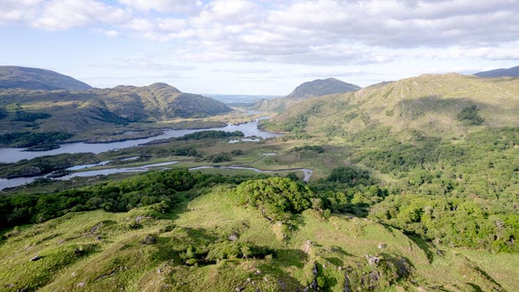 Scenic view of ladies view in Killarney National Park Breathtaking aerial view of Ladies View, nestled in the lush landscape of Killarney National Park along the Ring of Kerry, Ireland. Majestic mountains and serene lakes create a picturesque scene. Model Released SilviaRedondo_ID31922_1086999_003 Copyright: xSilviaxRedondox RECORD DATE NOT STATED