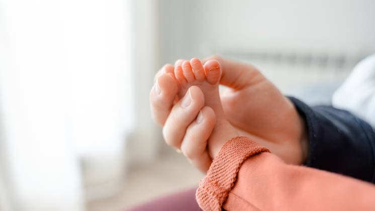 Newborn baby™s foot being gently held by a parent™s hand Close-up of a newborn baby™s foot being gently held by a parent™s hand. The image captures the tenderness and fragility of early parenthood at home, evoking warmth and care. Model Released SilviaRedondo_ID32038_1090655_005 Copyright: xSilviaxRedondox RECORD DATE NOT STATED
