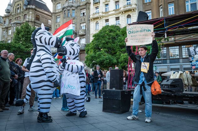 May 20, 2025, Budapest, Budapest, Hungary: Zebras - kept as pets at the Hungarian PM s private estate - became symbols for protests against the governing FIDESZ party and their new techno-fascist legistlations in Hungary Budapest Hungary - ZUMAa256 20250520_zip_a256_002 Copyright: xDanielxAlfoldix