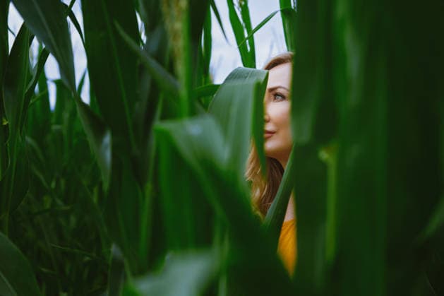 Blond woman in yellow dress surrounded by corn leaves Los Angeles, California, United States CR_ARZH250620B-1768895-01 ,model released, Symbolfoto