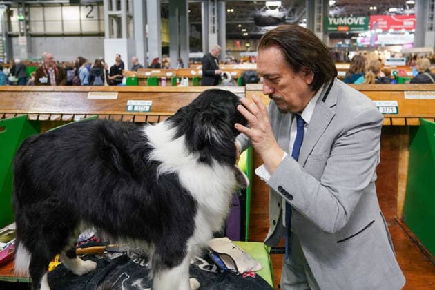 March 5, 2026, Birmingham, West Midlands, UK: Birmingham, UK. A man grooms his dog on the first day of the Crufts at Birmingham s National Exhibition Centre. Crufts dog show is a 4-day event, held from March 5 to March 8 at Birmingham s National Exhibition Centre (NEC) Birmingham UK  - ZUMAl94_ 20260305_zaf_l94_039 Copyright: xIoannisxAlexopoulosx