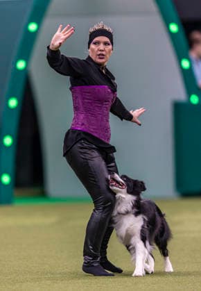 March 5, 2026, Birmingham, West Midlands, UK: Birmingham, UK. A collie with its holder take part in Heelwork to Music Competition at the NEC Birmingham venue during the annual Crufts Dog Show. The event, which has been running since 1891, is considered to be the largest show of it s kind in the world. Birmingham UK  - ZUMAl94_ 20260305_zaf_l94_047 Copyright: xMarcinxNowakx