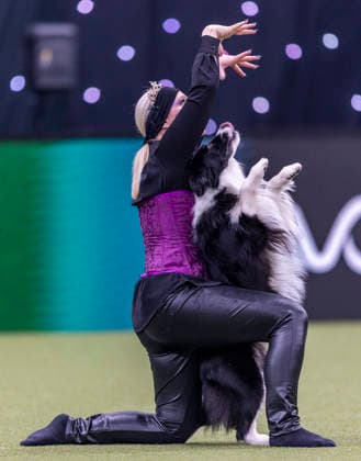 March 5, 2026, Birmingham, West Midlands, UK: Birmingham, UK. A collie with its holder take part in Heelwork to Music Competition at the NEC Birmingham venue during the annual Crufts Dog Show. The event, which has been running since 1891, is considered to be the largest show of it s kind in the world. Birmingham UK  - ZUMAl94_ 20260305_zaf_l94_048 Copyright: xMarcinxNowakx