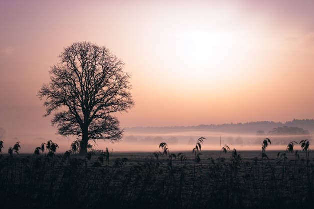 Sonnenaufgang an einem frostigen Märzmorgen in Bayern, über den Wiesen hängt noch etwas Morgennebel und in der Luft hängt der Saharastaub *** Sunrise to a frosty March morning in Bavaria, via the Meadows Hangs still something Morning mist and in the Air Hangs the Sahara dust 1047101784