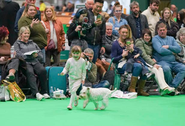 March 7, 2026, Birmingham, West Midlands, UK: Birmingham, UK. Caitlyn Mellor (4) competes with her Miniature Schnauzer, Zeeva on day 3 of Crufts at Birmingham s National Exhibition Centre. Caitlyn is poised to become one of Crufts youngest competitors. Crufts dog show is a 4-day event,held from March 5 to March 8 at Birmingham s National Exhibition Centre (NEC) Birmingham UK  - ZUMAl94_ 20260307_zaf_l94_193 Copyright: xIoannisxAlexopoulosx