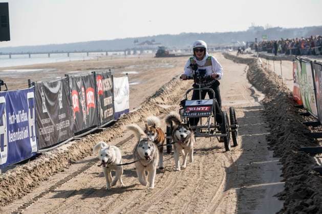 abb Gisa Zach Teilnehmerin Hunde am Strand bei 10.Jahre Baltic Lights 2026 Promi Charity Schlittenhunderennen zu Gunsten der Welthungerhilfe an der Ostsee zwischen der Seebruecke Ahlbeck und der Seebruecke Heringsdorf ,Samstag 07.03.2026 in Heringsdorf MV Deutschland