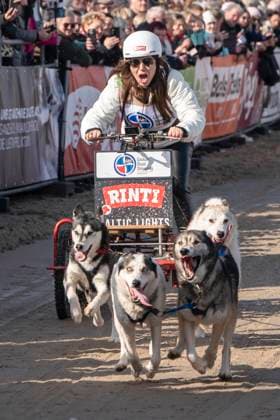 abb Simone Thomalla Teilnehmerin mit Hunden am Strand bei 10.Jahre Baltic Lights 2026 Promi Charity Schlittenhunderennen zu Gunsten der Welthungerhilfe an der Ostsee zwischen der Seebruecke Ahlbeck und der Seebruecke Heringsdorf ,Samstag 07.03.2026 in Heringsdorf MV Deutschland
