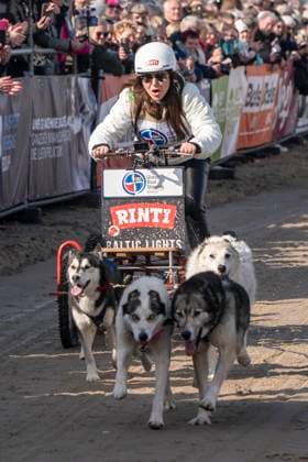 abb Simone Thomalla Teilnehmerin mit Hunden am Strand bei 10.Jahre Baltic Lights 2026 Promi Charity Schlittenhunderennen zu Gunsten der Welthungerhilfe an der Ostsee zwischen der Seebruecke Ahlbeck und der Seebruecke Heringsdorf ,Samstag 07.03.2026 in Heringsdorf MV Deutschland