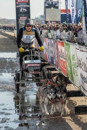 abb Sascha Vollmer Teilnehmer mit Hunden am Strand bei 10.Jahre Baltic Lights 2026 Promi Charity Schlittenhunderennen zu Gunsten der Welthungerhilfe an der Ostsee zwischen der Seebruecke Ahlbeck und der Seebruecke Heringsdorf ,Samstag 07.03.2026 in Heringsdorf MV Deutschland
