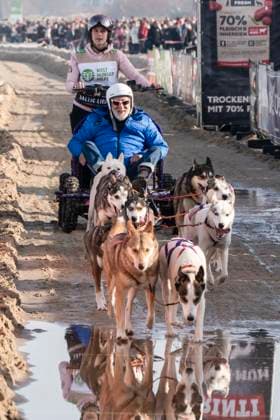 abb Dieter Hallervorden Teilnehmer mit Hunden am Strand bei 10.Jahre Baltic Lights 2026 Promi Charity Schlittenhunderennen zu Gunsten der Welthungerhilfe an der Ostsee zwischen der Seebruecke Ahlbeck und der Seebruecke Heringsdorf ,Samstag 07.03.2026 in Heringsdorf MV Deutschland