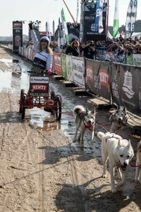 abb Tanja Lanaeus Teilnehmerin mit Hunden am Strand bei 10.Jahre Baltic Lights 2026 Promi Charity Schlittenhunderennen zu Gunsten der Welthungerhilfe an der Ostsee zwischen der Seebruecke Ahlbeck und der Seebruecke Heringsdorf ,Samstag 07.03.2026 in Heringsdorf MV Deutschland