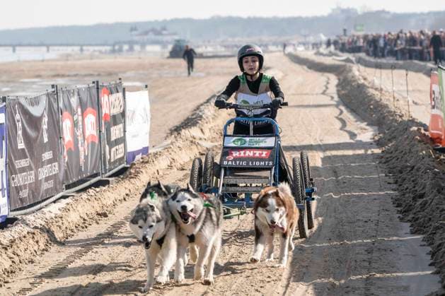 abb Amira Atalay Teilnehmerin mit Hunden am Strand bei 10.Jahre Baltic Lights 2026 Promi Charity Schlittenhunderennen zu Gunsten der Welthungerhilfe an der Ostsee zwischen der Seebruecke Ahlbeck und der Seebruecke Heringsdorf ,Samstag 07.03.2026 in Heringsdorf MV Deutschland
