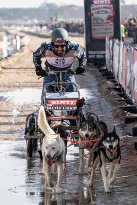 abb Alec Voelkel Teilnehmer mit Hunden am Strand bei 10.Jahre Baltic Lights 2026 Promi Charity Schlittenhunderennen zu Gunsten der Welthungerhilfe an der Ostsee zwischen der Seebruecke Ahlbeck und der Seebruecke Heringsdorf ,Samstag 07.03.2026 in Heringsdorf MV Deutschland