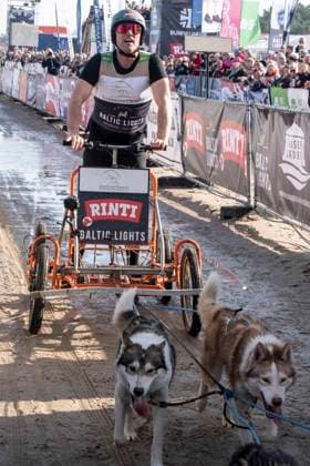 abb Matthias Schloo Teilnehmer mit Hunden am Strand bei 10.Jahre Baltic Lights 2026 Promi Charity Schlittenhunderennen zu Gunsten der Welthungerhilfe an der Ostsee zwischen der Seebruecke Ahlbeck und der Seebruecke Heringsdorf ,Samstag 07.03.2026 in Heringsdorf MV Deutschland