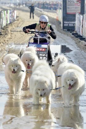 Janine Kunze beim BALTIC LIGHTS 2026 Charity Schilttenhunderennen in Heringsdorf auf Usedom am 07.03.2026
