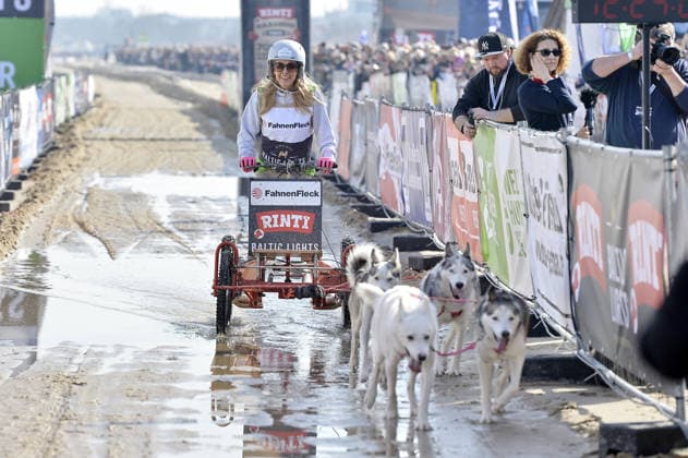 Tanja Lanäus beim BALTIC LIGHTS 2026 Charity Schilttenhunderennen in Heringsdorf auf Usedom am 07.03.2026