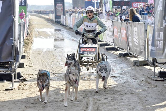 Sanna Englund beim BALTIC LIGHTS 2026 Charity Schilttenhunderennen in Heringsdorf auf Usedom am 07.03.2026