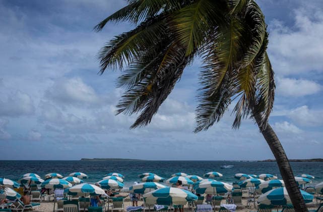 Marigot. Am Orient Beach von Saint Martin. - Blau-weiße Sonnenschirme schützen Urlauber am Orient Beach der Karibikinsel Saint-Martin vor der prallen Sonne. Der palmengesäumte Strand an der nordöstlichen Küste der Insel ist sehr beliebt. Der gesamte nördliche Teil der Insel mit der Hauptstadt Marigot gehört zu Frankreich und zur EU. Marigot Saint-Martin (French Part) Frankreich *** Marigot On the Orient Beach of Saint Martin Blue white parasols protect vacationers from the blazing sun on the Orient Beach of the Caribbean island of Saint Martin The palm-fringed beach on the north-eastern coast of the island is very popular The entire northern part of the island with the capital Marigot belongs to France and the EU Marigot Saint Mart