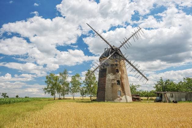 Feldlandschaft mit Turmwindmühle unter blauem Himmel mit Cumuluswolken, vorn ein Weizenfeld, Schmiedehausen, Bad Sulza, Thüringen, Deutschland Field landscape with tower windmill under blue sky with cumulus clouds, wheat field in front, Schmiedehausen, Bad Sulza, Thuringia, Germany Copyright: imageBROKER AndreasxVitting iblavg16949808.jpg