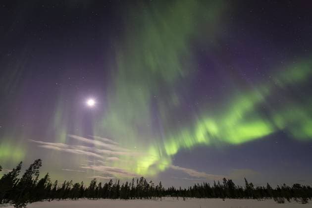 Nordlicht (Aurora borealis), Muddus Nationalpark, Welterbe Laponia, Norrbotten, Lappland, Schweden, April 2025 Northern Lights (Aurora borealis), Muddus National Park, Laponia World Heritage Site, Norrbotten, Lapland, Sweden, April 2025 Copyright: imageBROKER GunarxStreu ibxgst16862210.jpg