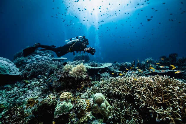 underwater photographer exploring the Komodo National park Badjo, Nusa Tenggara Timur, Indonesia CR_THHE260307-1959082-01 ,model released, Symbolfoto