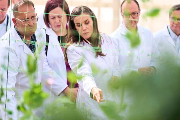 Queen Letizia visits to the Experimental Station for intensive agriculture Las Palmerillas Queen Letizia of Spain attends to the Cajamar Experimental Station for intensive agriculture Las Palmerillas on March 10, 2026 in El Ejido, Spain Photo by IMAGO MPG El Ejido Las Palmerillas Andalucia Spain  Copyright: xMPGx