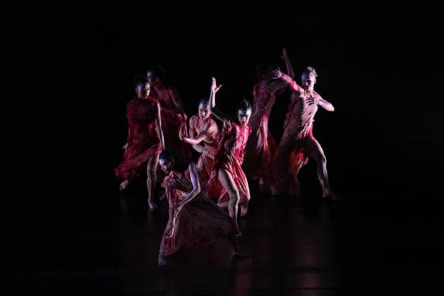 AUSTRALIAN BALLET FLORA PREVIEW, The Australian Ballet and Bangarra Dance Theatre perform during a media preview of Flora at the Regent Theatre in Melbourne, Wednesday, March 11, 2026. ( NO ARCHIVING MELBOURNE VICTORIA AUSTRALIA  Copyright: xJAMESxROSSx 20260311149430124438