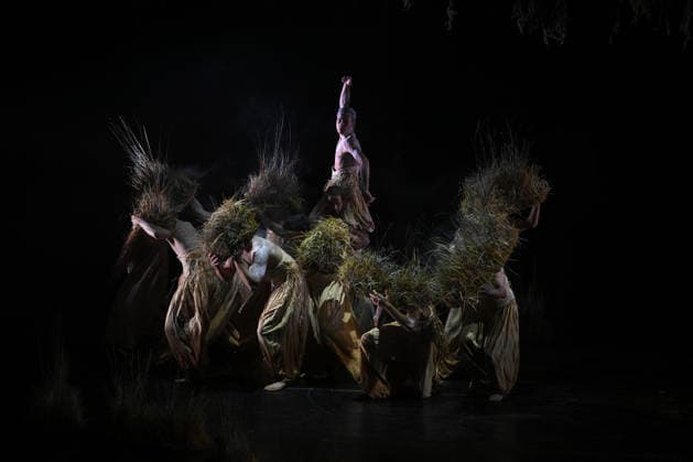 AUSTRALIAN BALLET FLORA PREVIEW, The Australian Ballet and Bangarra Dance Theatre perform during a media preview of Flora at the Regent Theatre in Melbourne, Wednesday, March 11, 2026. ( NO ARCHIVING MELBOURNE VICTORIA AUSTRALIA  Copyright: xJAMESxROSSx 20260311116328768324