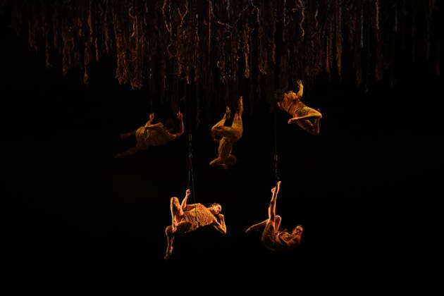 AUSTRALIAN BALLET FLORA PREVIEW, The Australian Ballet and Bangarra Dance Theatre perform during a media preview of Flora at the Regent Theatre in Melbourne, Wednesday, March 11, 2026. ( NO ARCHIVING MELBOURNE VICTORIA AUSTRALIA  Copyright: xJAMESxROSSx 20260311121747273496