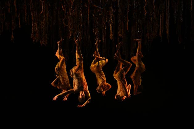 AUSTRALIAN BALLET FLORA PREVIEW, The Australian Ballet and Bangarra Dance Theatre perform during a media preview of Flora at the Regent Theatre in Melbourne, Wednesday, March 11, 2026. ( NO ARCHIVING MELBOURNE VICTORIA AUSTRALIA  Copyright: xJAMESxROSSx 20260311184571221007