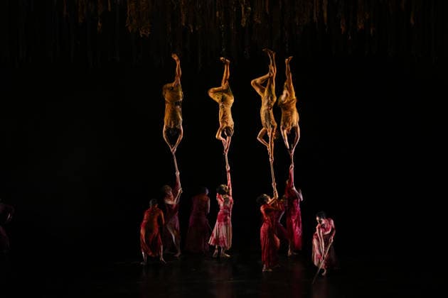 AUSTRALIAN BALLET FLORA PREVIEW, The Australian Ballet and Bangarra Dance Theatre perform during a media preview of Flora at the Regent Theatre in Melbourne, Wednesday, March 11, 2026. ( NO ARCHIVING MELBOURNE VICTORIA AUSTRALIA  Copyright: xJAMESxROSSx 20260311172485910538