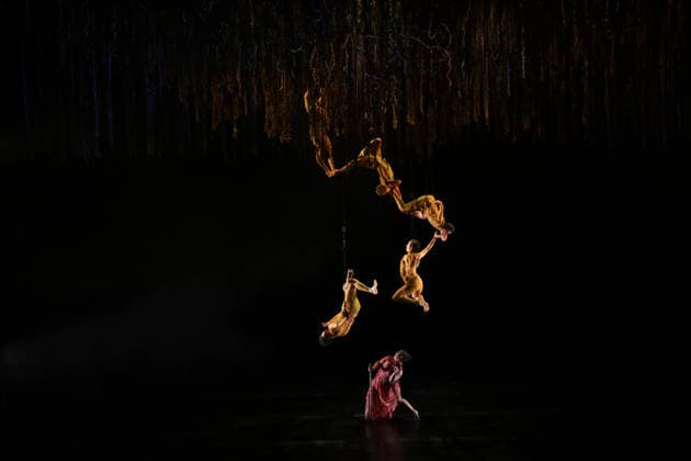 Entertainment Bilder des Tages #2 AUSTRALIAN BALLET FLORA PREVIEW, The Australian Ballet and Bangarra Dance Theatre perform during a media preview of Flora at the Regent Theatre in Melbourne, Wednesday, March 11, 2026. ( NO ARCHIVING MELBOURNE VICTORIA AUSTRALIA  Copyright: xJAMESxROSSx 20260311147929547032