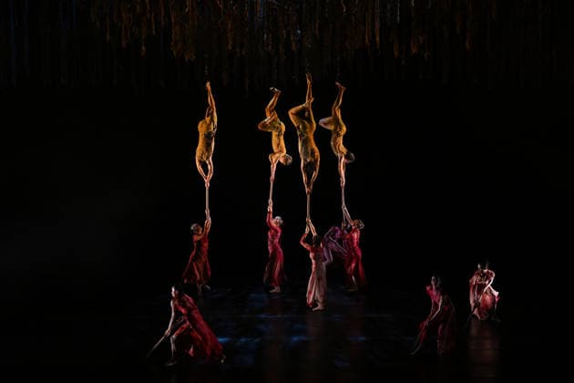 AUSTRALIAN BALLET FLORA PREVIEW, The Australian Ballet and Bangarra Dance Theatre perform during a media preview of Flora at the Regent Theatre in Melbourne, Wednesday, March 11, 2026. ( NO ARCHIVING MELBOURNE VICTORIA AUSTRALIA  Copyright: xJAMESxROSSx 20260311172899174331