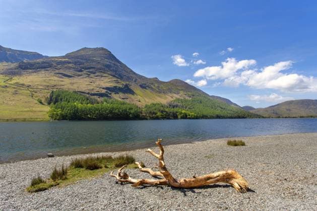 Buttermere See im Lake District, Cumbria, Großbritannien Buttermere lake in The Lake District, Cumbria, UK Copyright: imageBROKER BarryxDavis robertha iblwat15113924.jpg
