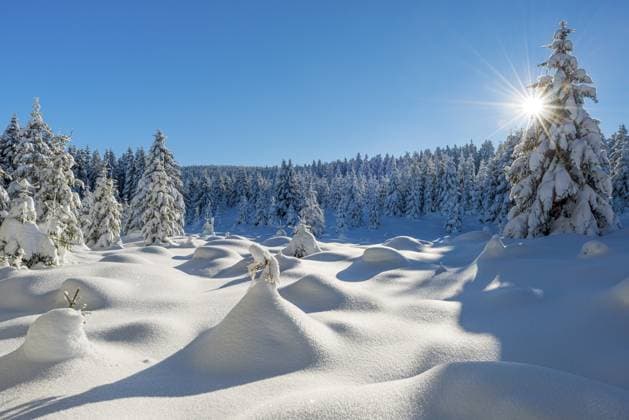 Unberührte Winterlandschaft mit tief verschneitem Wald im Nationalpark Harz, die Sonne strahlt vom blauen Himmel, bei Schierke, Sachsen-Anhalt, Deutschland Untouched winter landscape with deep snow-covered forest in the Harz National Park, the sun shining from the blue sky, near Schierke, Saxony-Anhalt, Germany Copyright: imageBROKER AndreasxVitting iblavg17008923.jpg