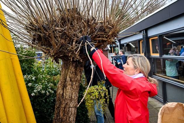 The Netherlands, 2026-03-13 12:34:03 HOOFDDORP, 13-03-2026, Residential care facility. King Willem Alexander and Queen Maxima assist with a volunteer activity for NLdoet, an initiative of the Orange Fund. NLdoet is taking place for the 22nd time this year. The Royal Couple is rolling up their sleeves at a residential care facility in Hoofddorp, where elderly and vulnerable people live with appropriate care and support. Here, together with residents and other volunteers, they are sprucing up the inner gardens. PHOTO: NLBeeld Patrick van Emst Credit: NL Beeld Patrick van Emst  Copyright: xx x