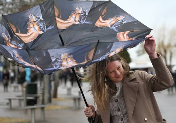 Cheltenham Festival 2026 Day 3 12th March 2026. Cheltenham Festival 2026. Day Three. Race fans.  Copyright: xPaulxEdwardsx NINTCHDBPICT001066034358