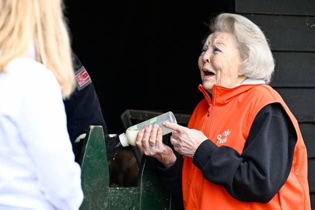 The Netherlands, 2026-03-13 14:43:17 AMSTERDAM, 13-03-2026, Children s Farm. Princess Beatrix participates in a volunteer activity for NLdoet by the Orange Fund. NLdoet is taking place for the 22nd time this year. Princess Beatrix helps care for the animals at a children s farm in Amsterdam. PHOTO: NLBeeld Patrick van Emst Credit: NL Beeld Patrick van Emst  Copyright: xx x