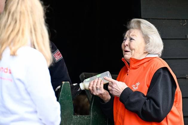 The Netherlands, 2026-03-13 14:43:17 AMSTERDAM, 13-03-2026, Children s Farm. Princess Beatrix participates in a volunteer activity for NLdoet by the Orange Fund. NLdoet is taking place for the 22nd time this year. Princess Beatrix helps care for the animals at a children s farm in Amsterdam. PHOTO: NLBeeld Patrick van Emst Credit: NL Beeld Patrick van Emst  Copyright: xx x