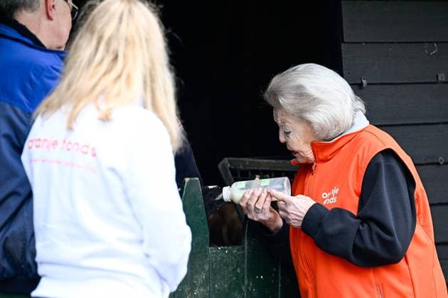The Netherlands, 2026-03-13 14:43:23 AMSTERDAM, 13-03-2026, Children s Farm. Princess Beatrix participates in a volunteer activity for NLdoet by the Orange Fund. NLdoet is taking place for the 22nd time this year. Princess Beatrix helps care for the animals at a children s farm in Amsterdam. PHOTO: NLBeeld Patrick van Emst Credit: NL Beeld Patrick van Emst  Copyright: xx x
