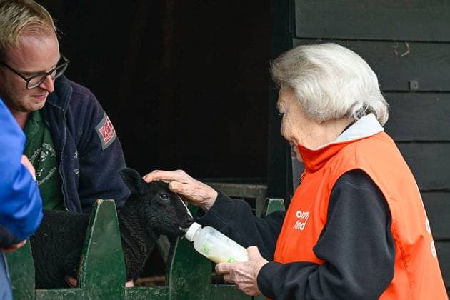 The Netherlands, 2026-03-13 14:42:27 AMSTERDAM, 13-03-2026, Children s Farm. Princess Beatrix participates in a volunteer activity for NLdoet by the Orange Fund. NLdoet is taking place for the 22nd time this year. Princess Beatrix helps care for the animals at a children s farm in Amsterdam. PHOTO: NLBeeld Patrick van Emst Credit: NL Beeld Patrick van Emst  Copyright: xx x