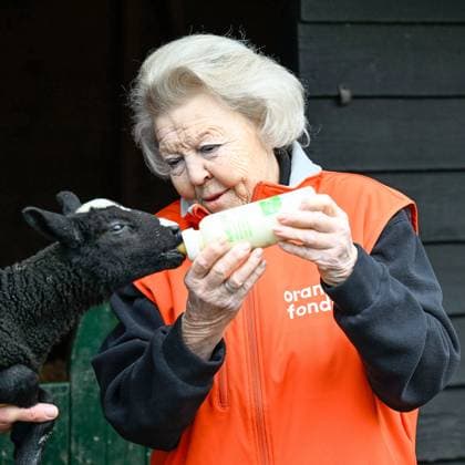 The Netherlands, 2026-03-13 14:46:04 AMSTERDAM, 13-03-2026, Children s Farm. Princess Beatrix participates in a volunteer activity for NLdoet by the Orange Fund. NLdoet is taking place for the 22nd time this year. Princess Beatrix helps care for the animals at a children s farm in Amsterdam. PHOTO: NLBeeld Patrick van Emst Credit: NL Beeld Patrick van Emst  Copyright: xx x